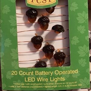 New Battery Operated Lights Fall 20ct LED wire Acorn shaped